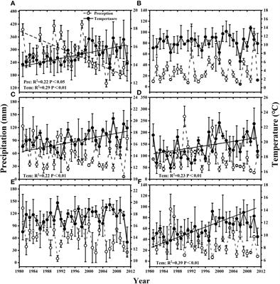 Species richness and asynchrony maintain the stability of primary productivity against seasonal climatic variability